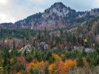Das Zellerhorn überragt den herbstlichen Bergwald
